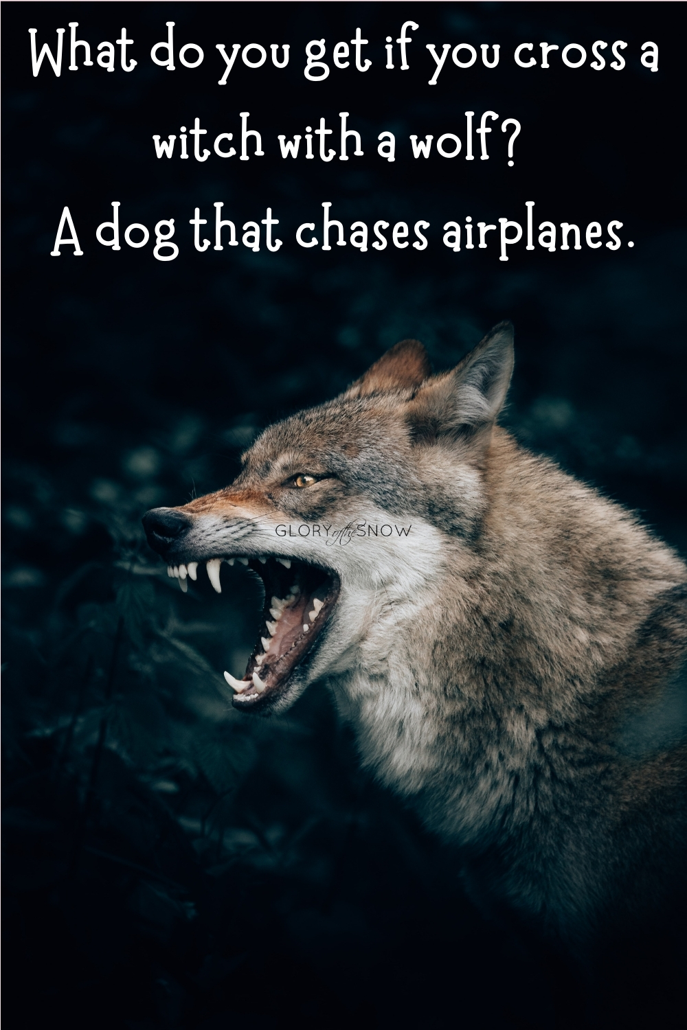 wolf puns