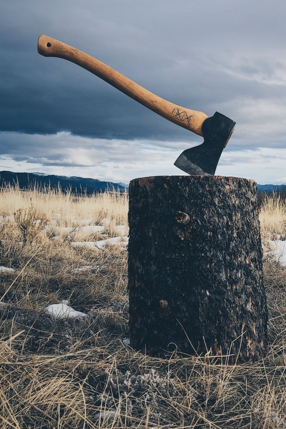 Axe Puns That Are Too Funny To Handle Glory of the Snow