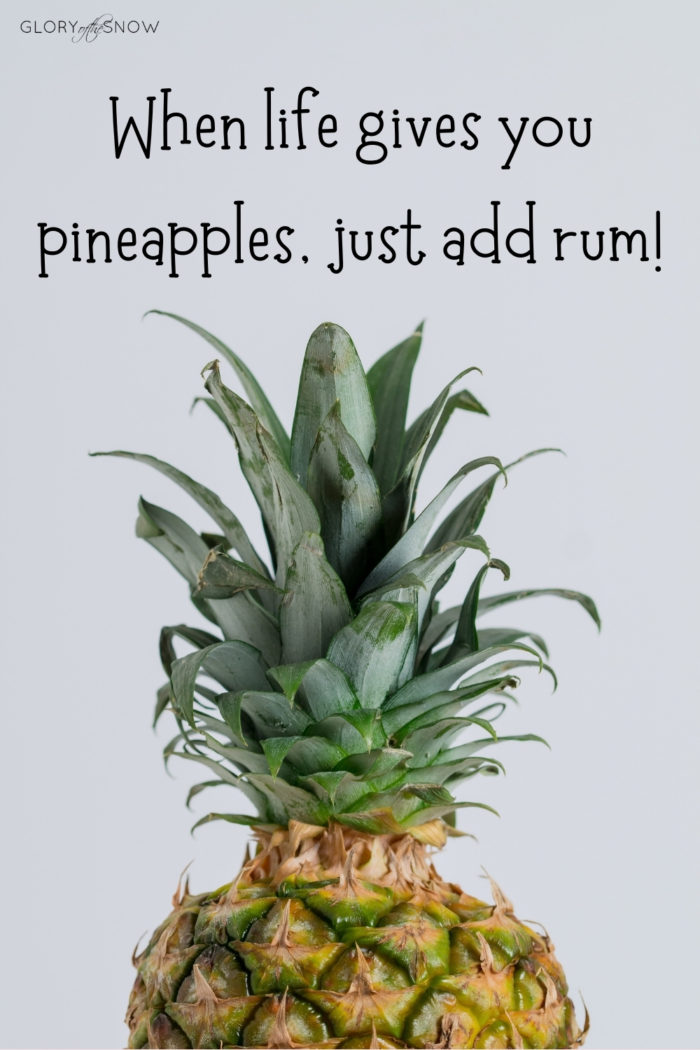 The Best Pineapple Puns, Jokes And Quotes Glory of the Snow