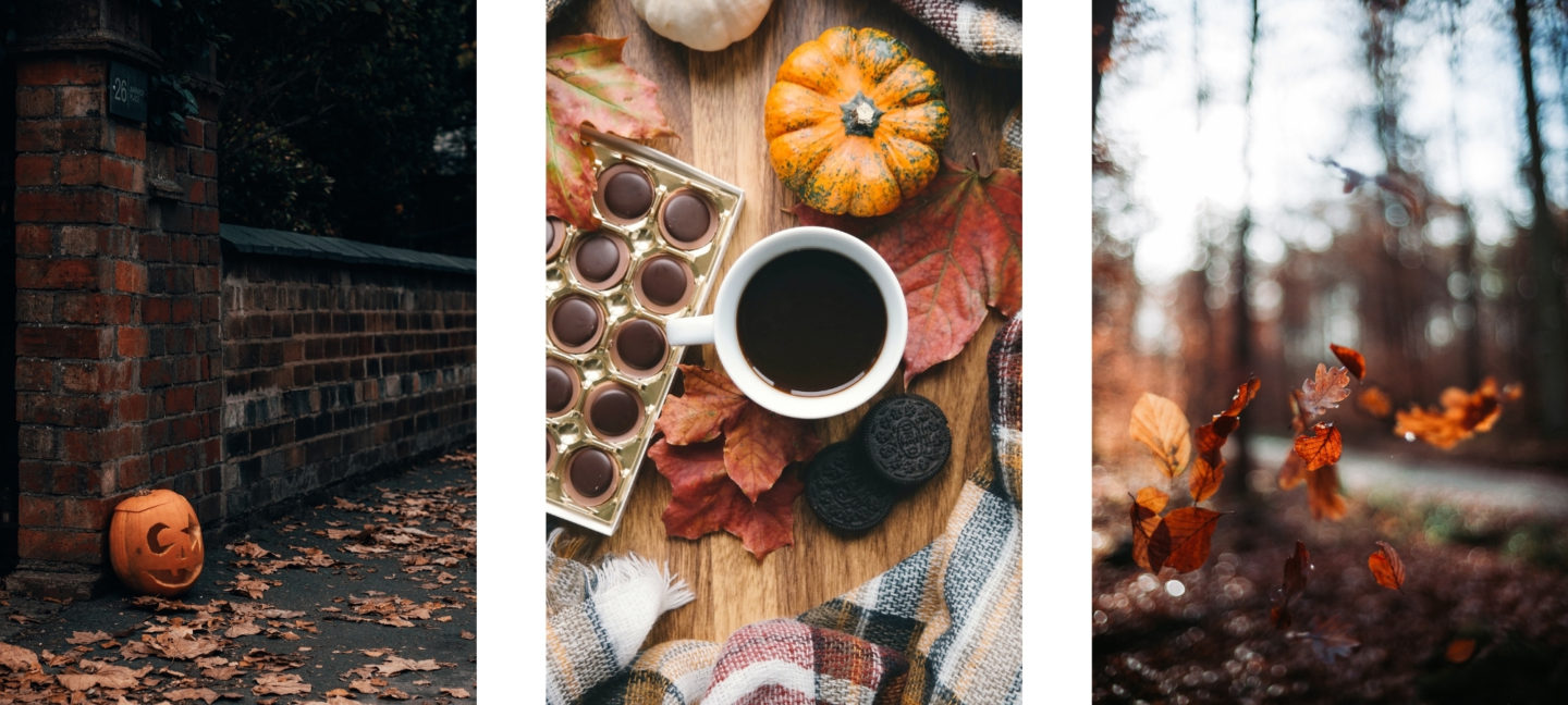 Free HD Fall Wallpaper Backgrounds For iPhone