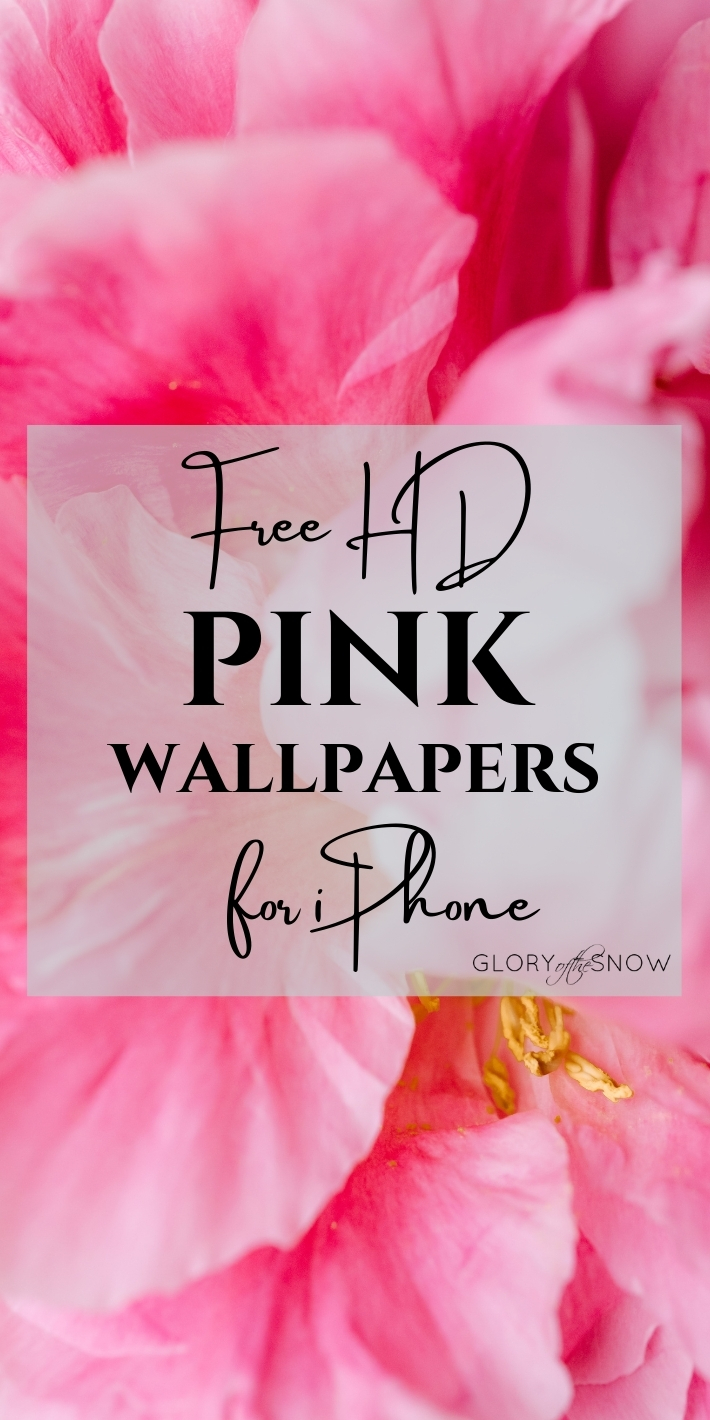 Free HD Aesthetic Pink Wallpapers For iPhone