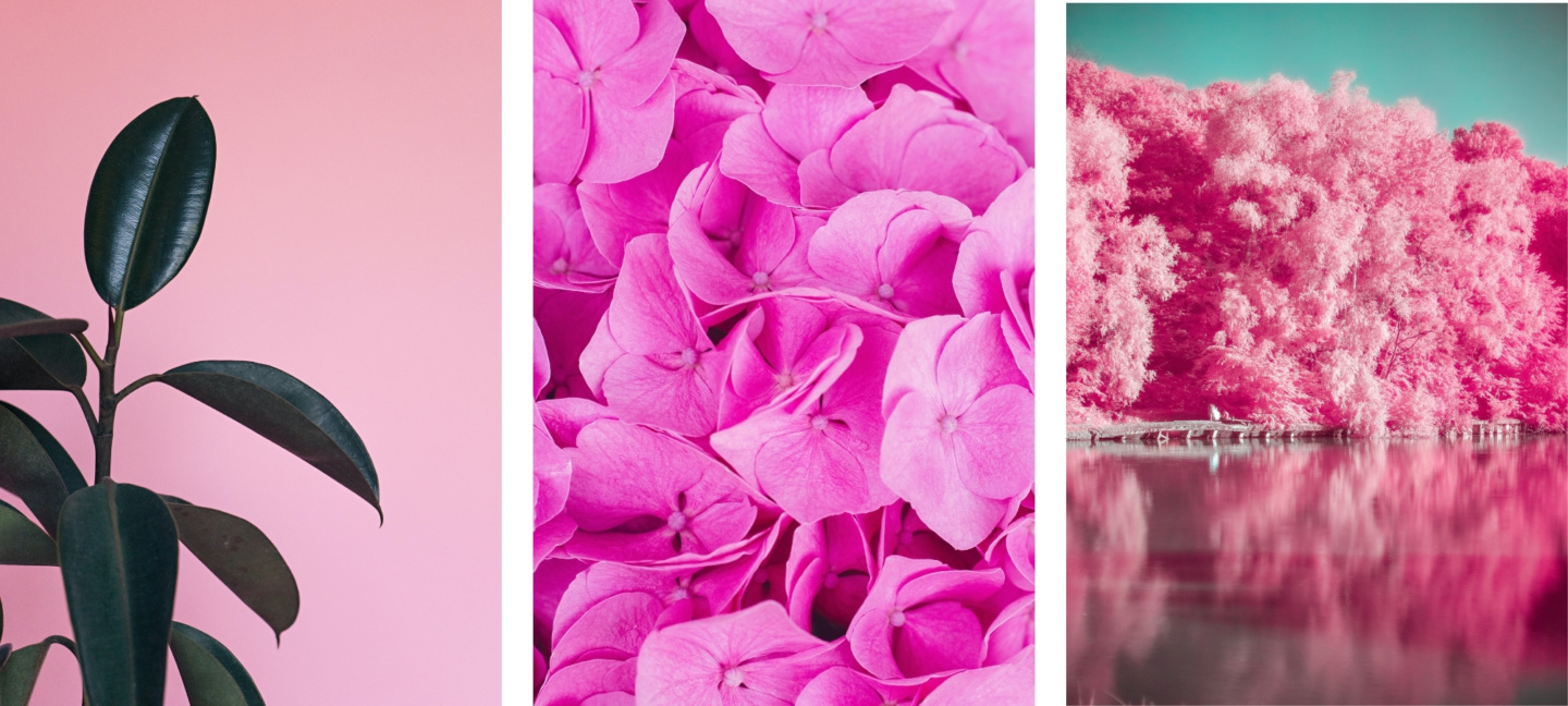 Free HD Aesthetic Pink Wallpapers For iPhone