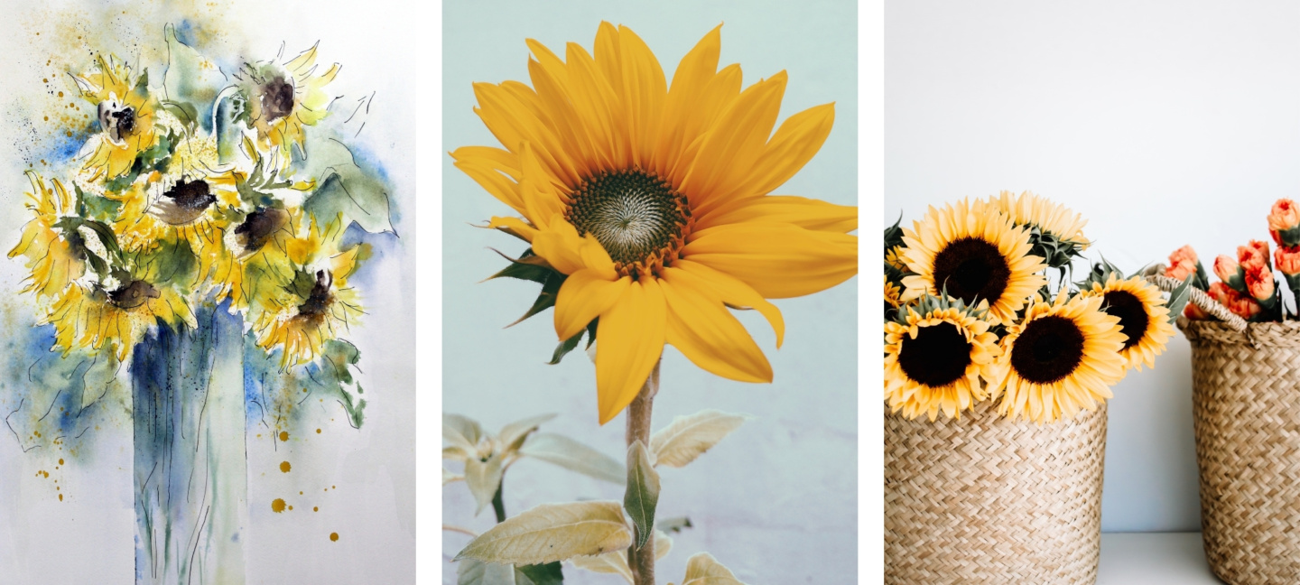 Aesthetic Sunflower Wallpaper Backgrounds For iPhone