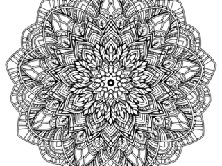 MANDALA 1 Free Printable Mandala Coloring Pages For Adults