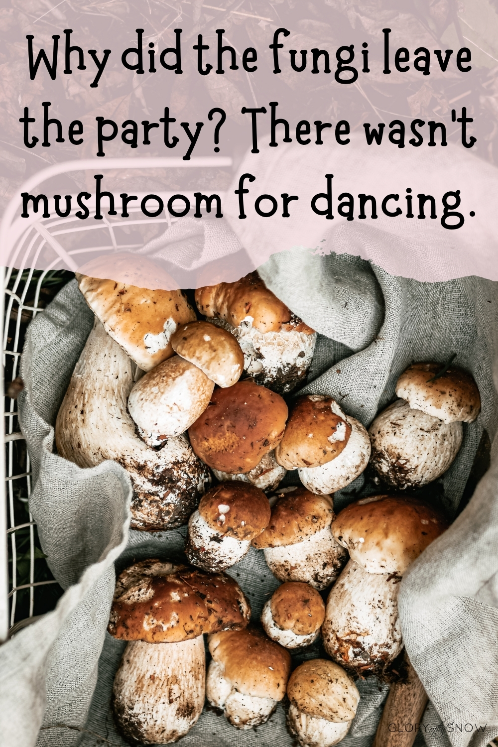 mushroom puns and jokes