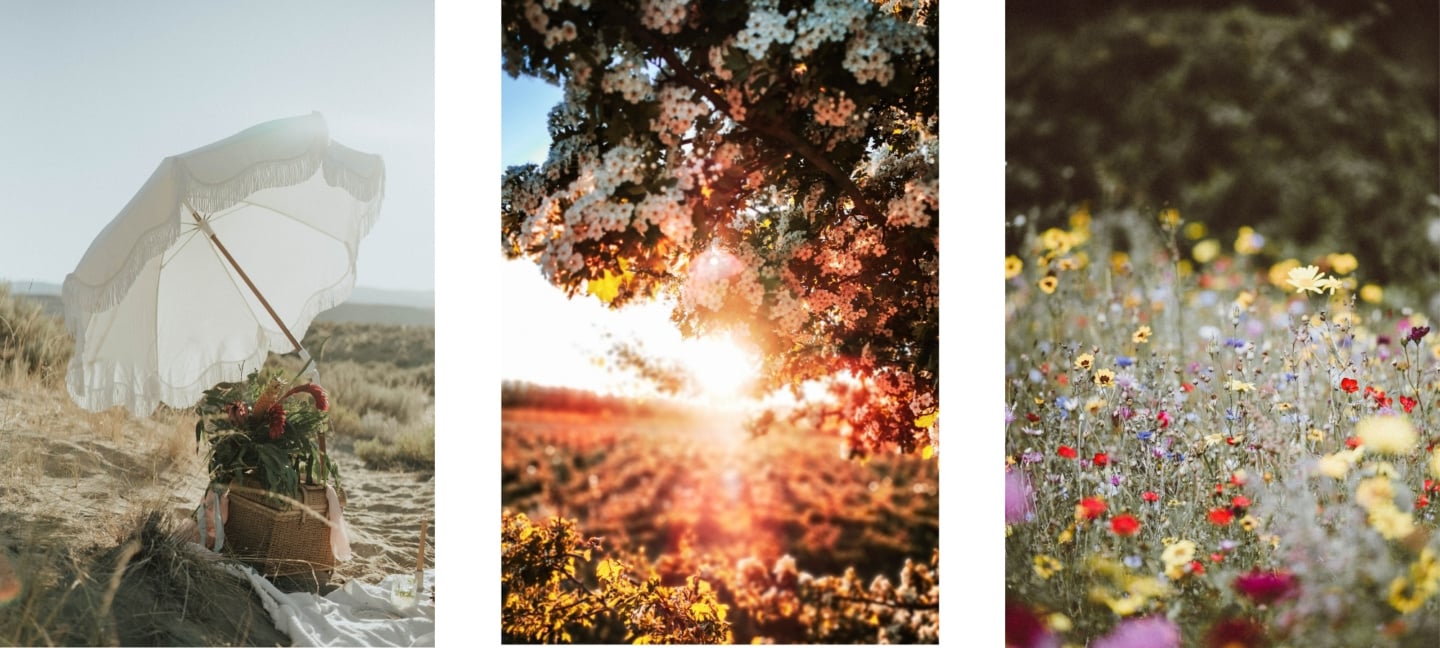 Pretty Summer Wallpapers For iPhone