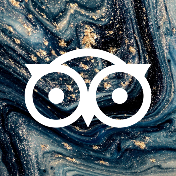 Tripadvisor blue and gold marble Blue Marble App Icons For iPhone