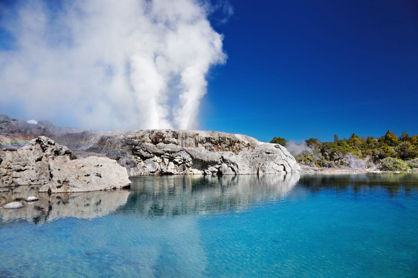 Things To Do In New Zealand’s North Island: Pohutu Geyser