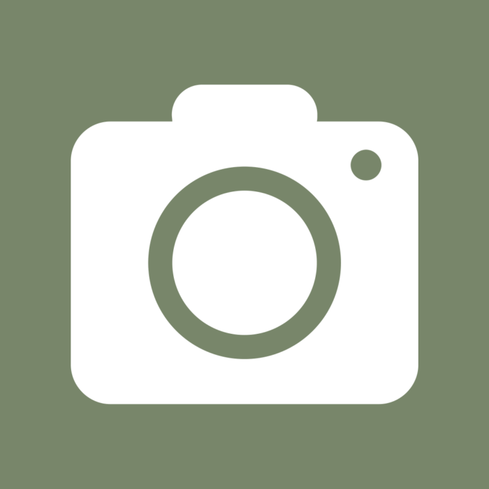 Aesthetic Sage Green App Icons For iPhone Aesthetic Sage Green App Icons For iPhone