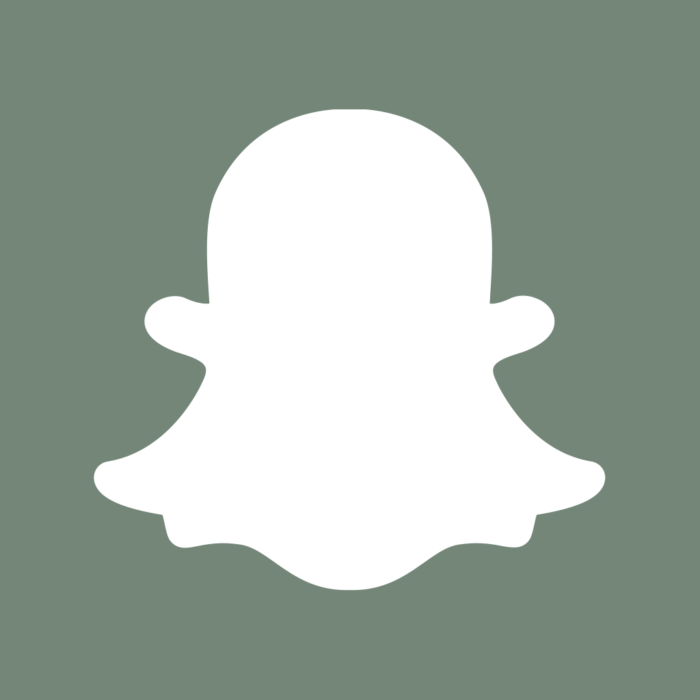 Aesthetic Sage Green App Icons For iPhone Aesthetic Sage Green App Icons For iPhone