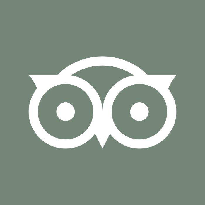Aesthetic Sage Green App Icons For iPhone Aesthetic Sage Green App Icons For iPhone
