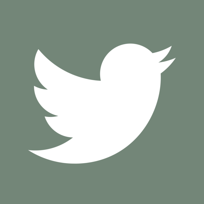Aesthetic Sage Green App Icons For iPhone Aesthetic Sage Green App Icons For iPhone