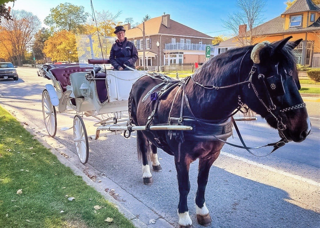 Best Things To Do On A Romantic Weekend In Niagara-On-The-Lake: carriage ride