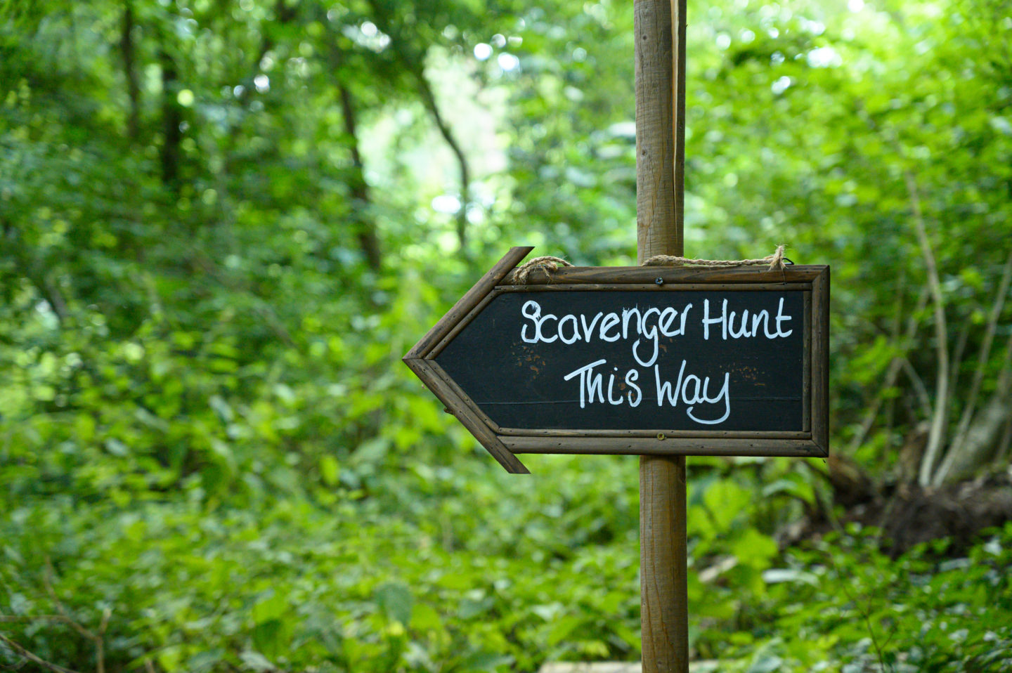 Best Outdoor Family Bonding Activities To Try This Summer: Nature Scavenger Hunt