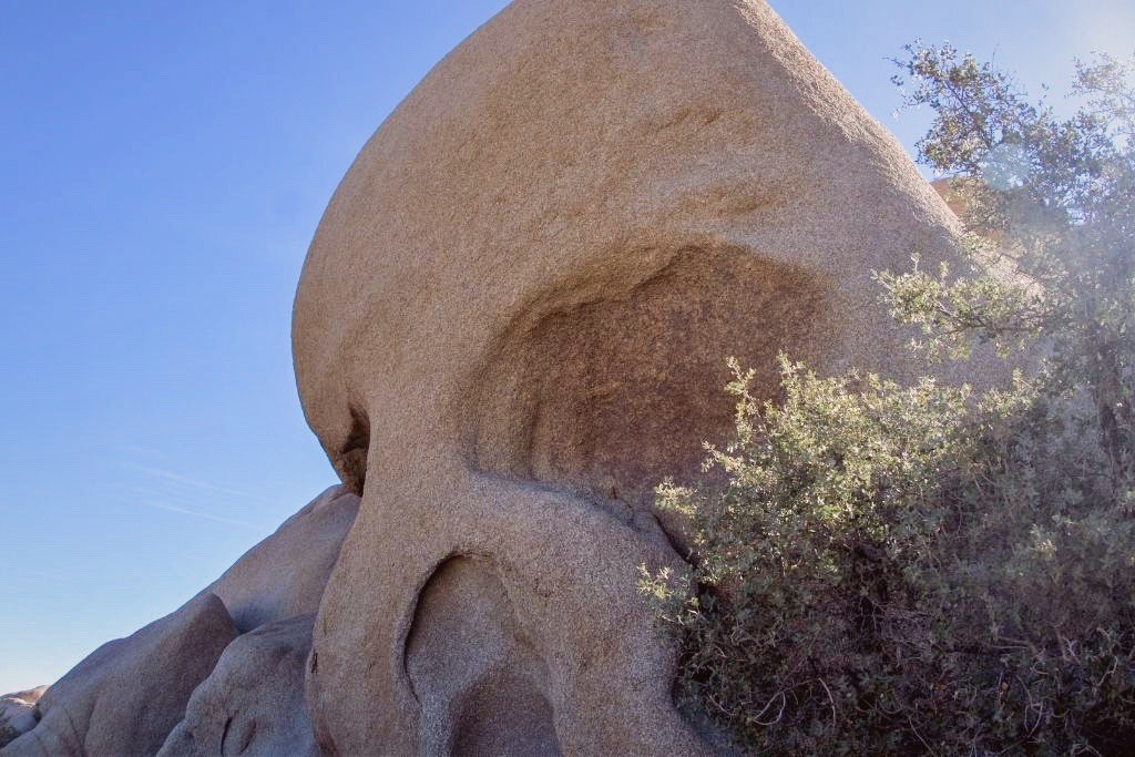Top Things To Do In California: Skull Rock In Joshua Tree National Park