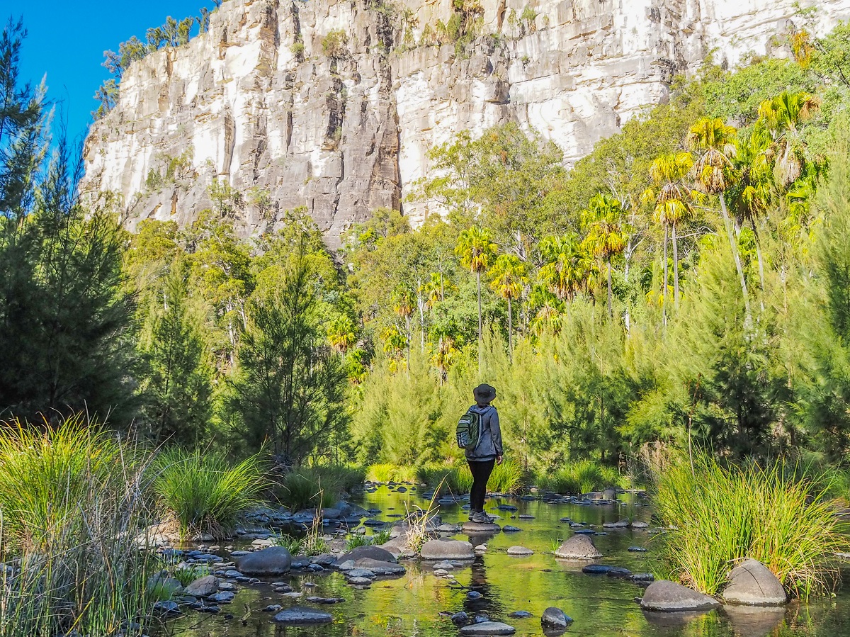 Beautiful Places In Australia: Carnarvon Gorge National Park