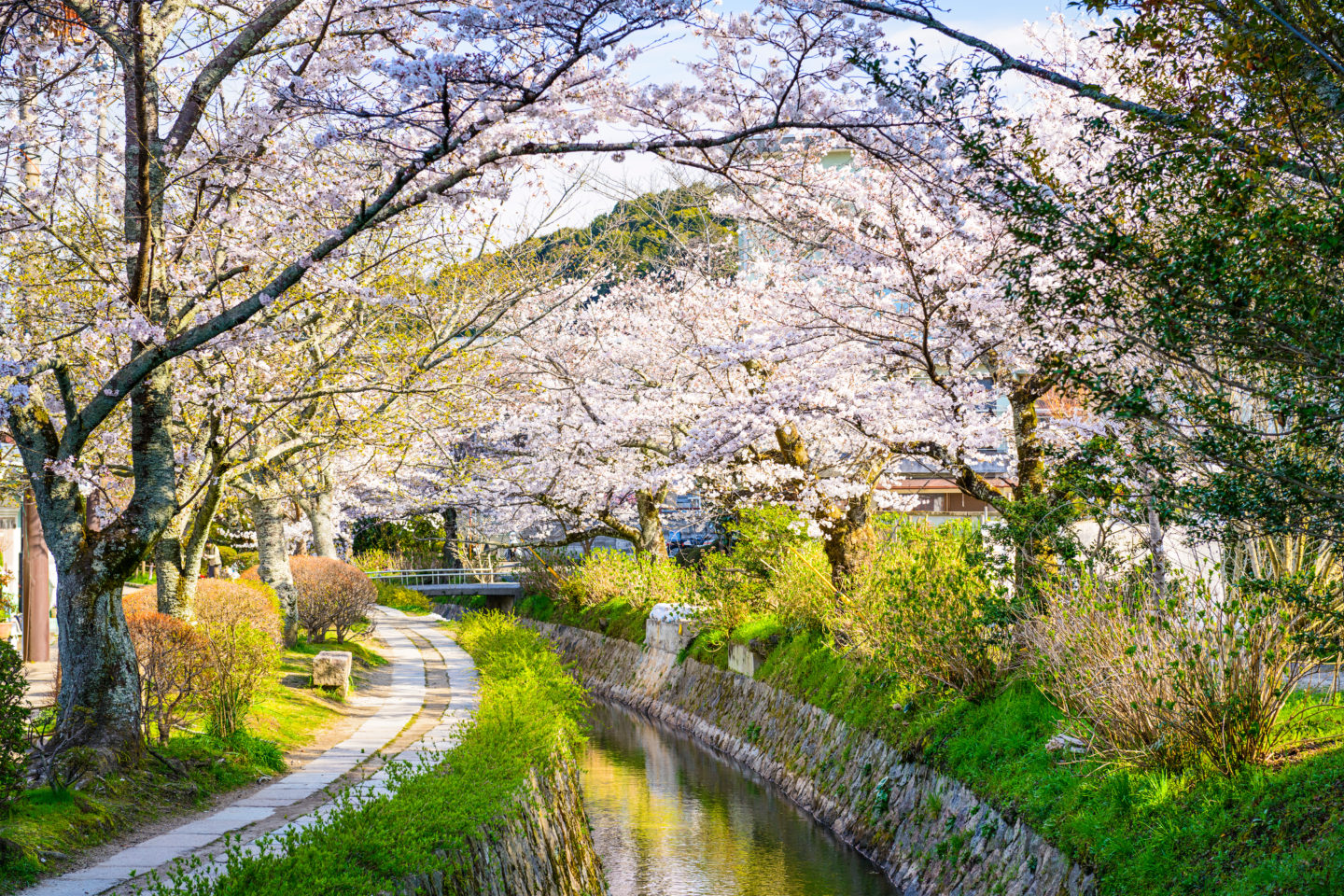 Best Things To Do In Kyoto, Japan: The Philosopher's Path