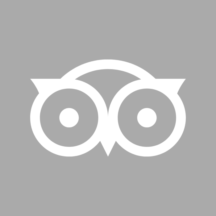 Tripadvisor Grey Free Aesthetic Grey App Icons For iPhone