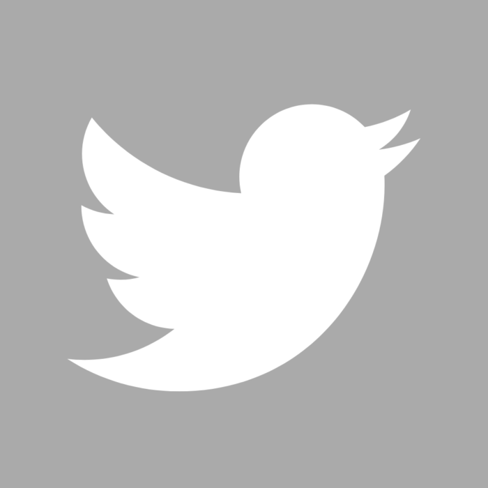 Twitter Grey Free Aesthetic Grey App Icons For iPhone