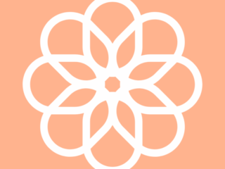 Free Aesthetic Peach App Icons For iPhone