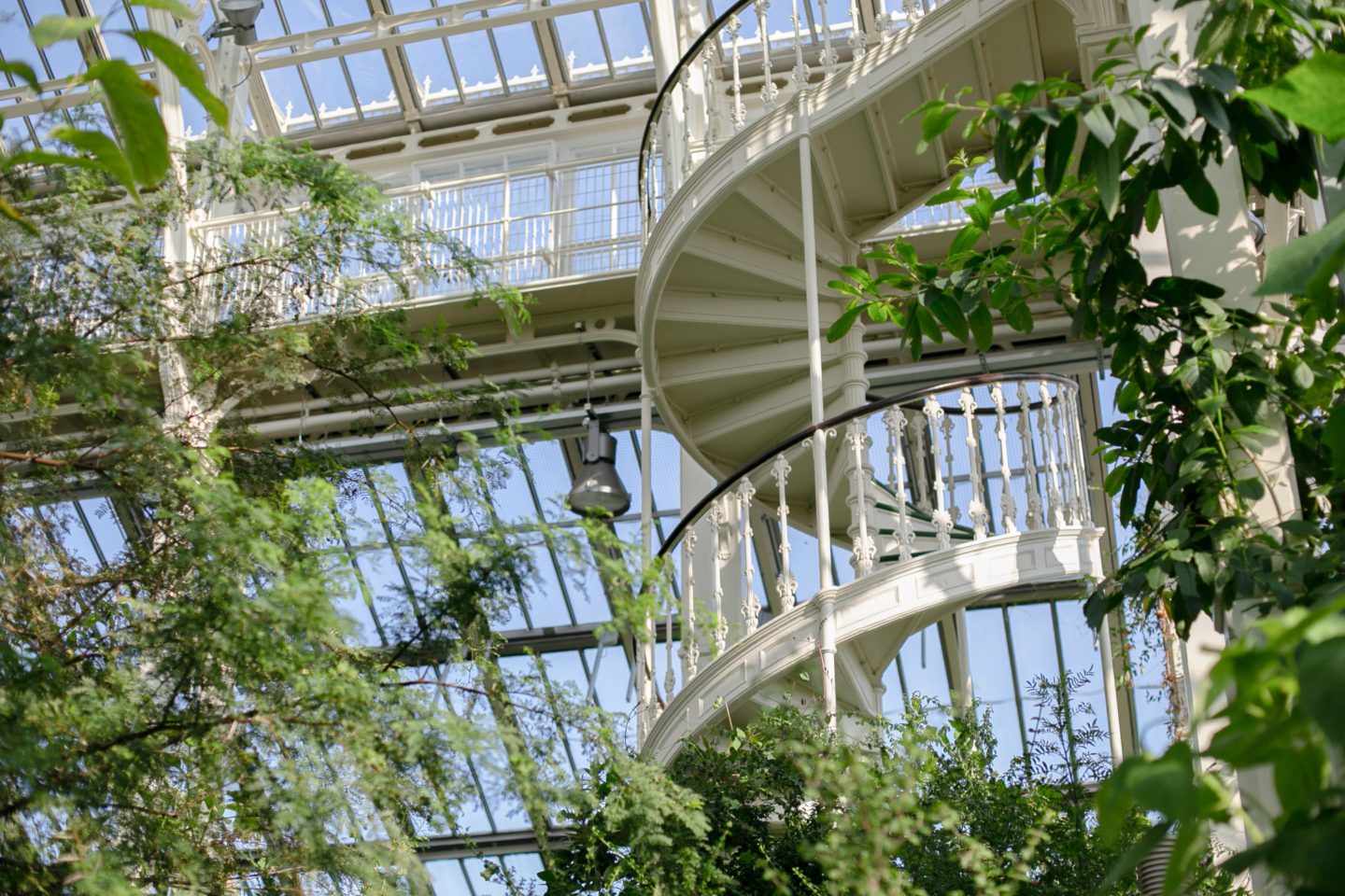 Best Day Trips from London, England: Kew Gardens