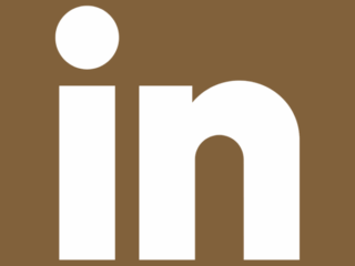 LinkedIn Dark Academia Free Dark Academia App Icons For iPhone
