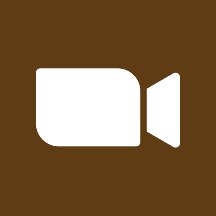 ZOOM Cloud Meetings Fall free aesthetic fall app icons for iPhone