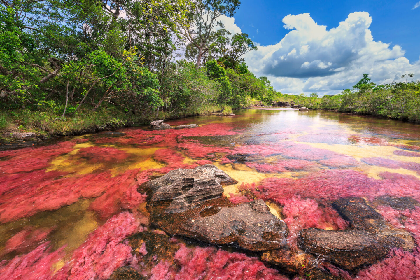 Best Off-The-Beaten-Path Places In Colombia: Cano Cristales