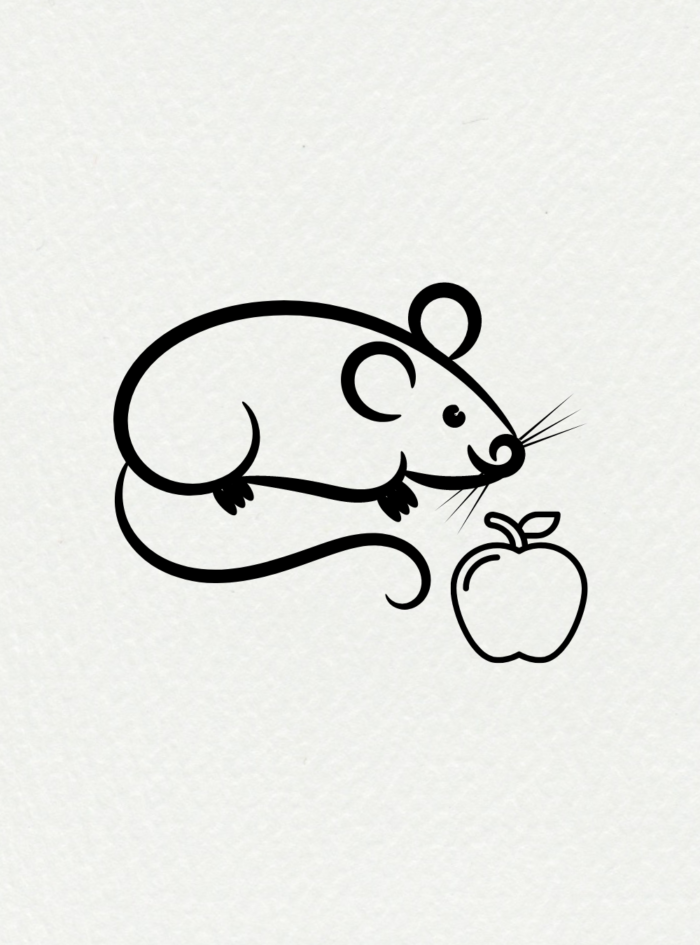 100+ Easy Cute Drawing Ideas For Beginners You Need To Try - Glory of ...