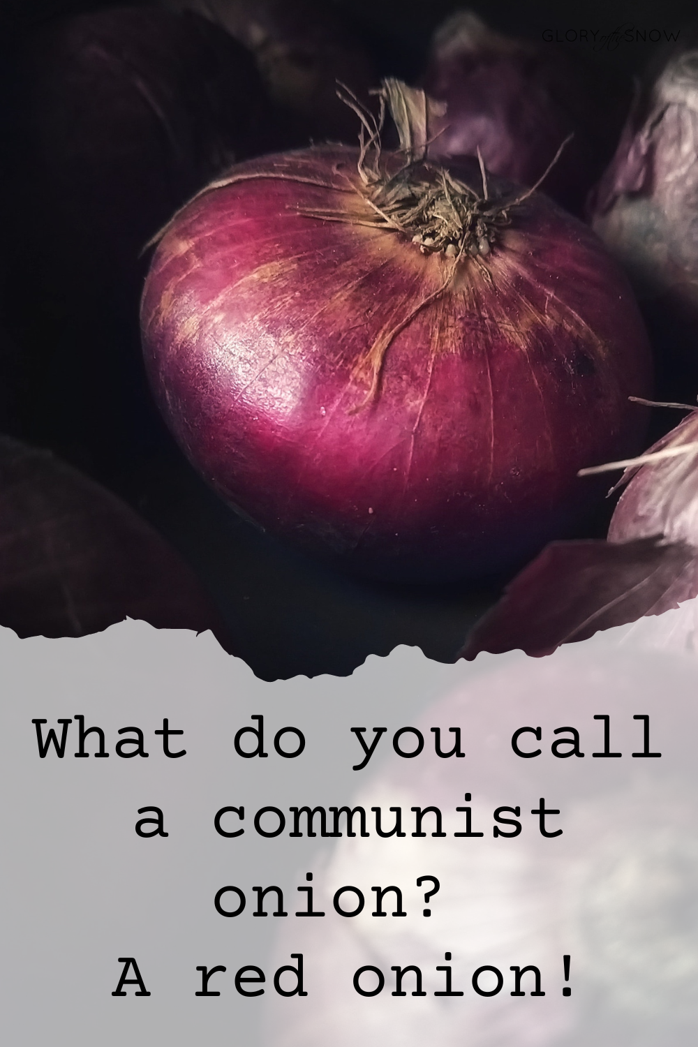 best onion puns, jokes, one-liners, riddles, and pick-up lines