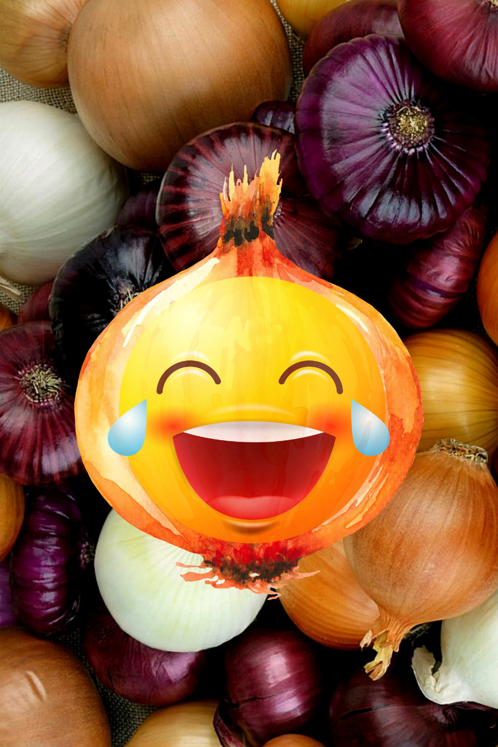 Best Onion Puns and Jokes That Will Make You Cry Laughing - Glory of the  Snow