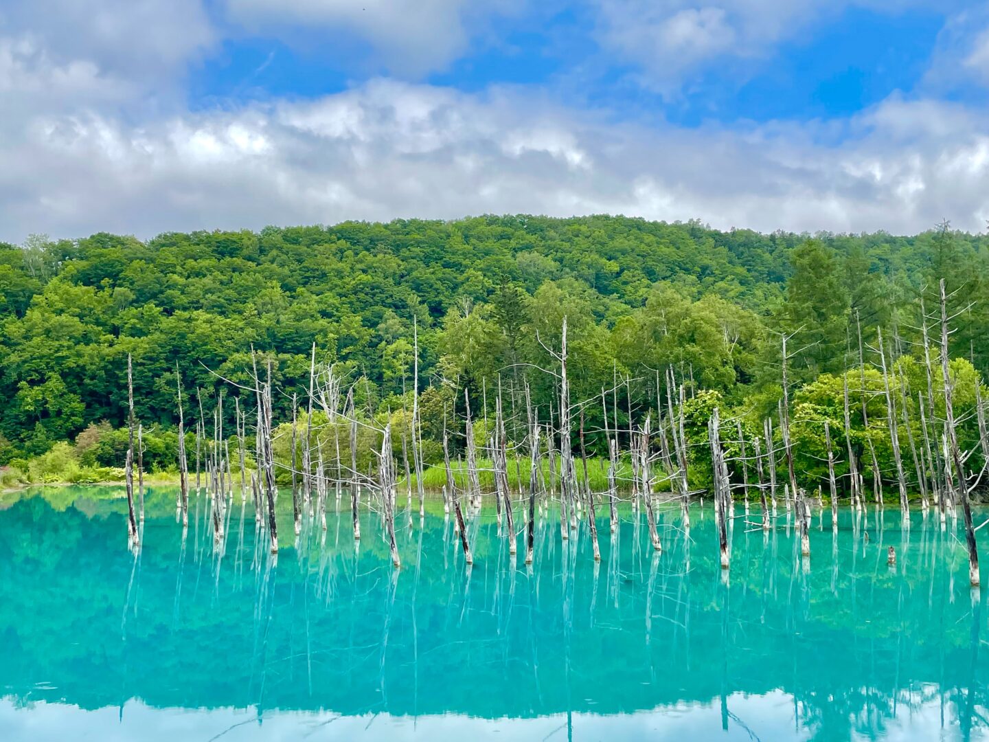 Best Things To Do In Hokkaido, Japan: Blue Pond