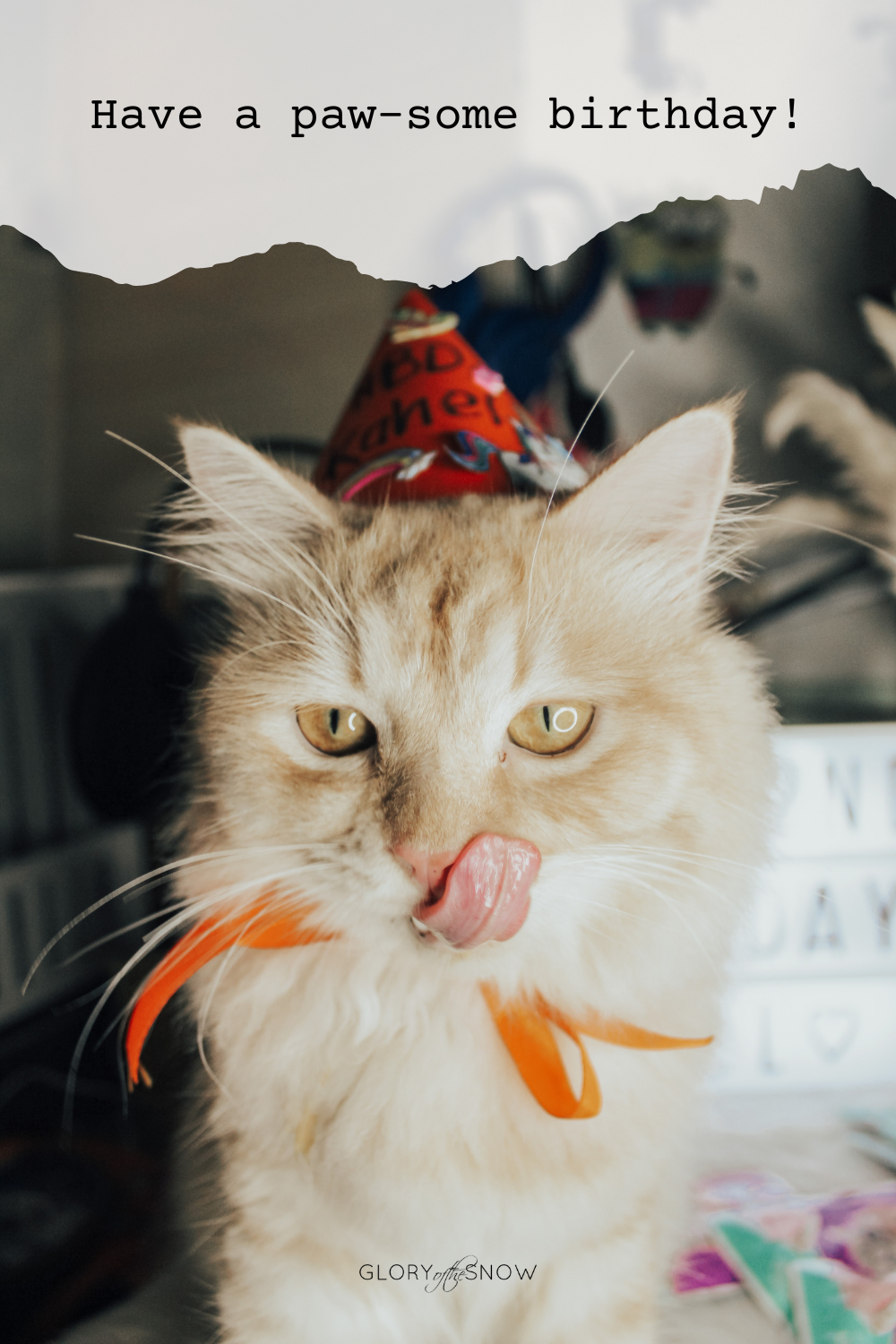 cat birthday puns