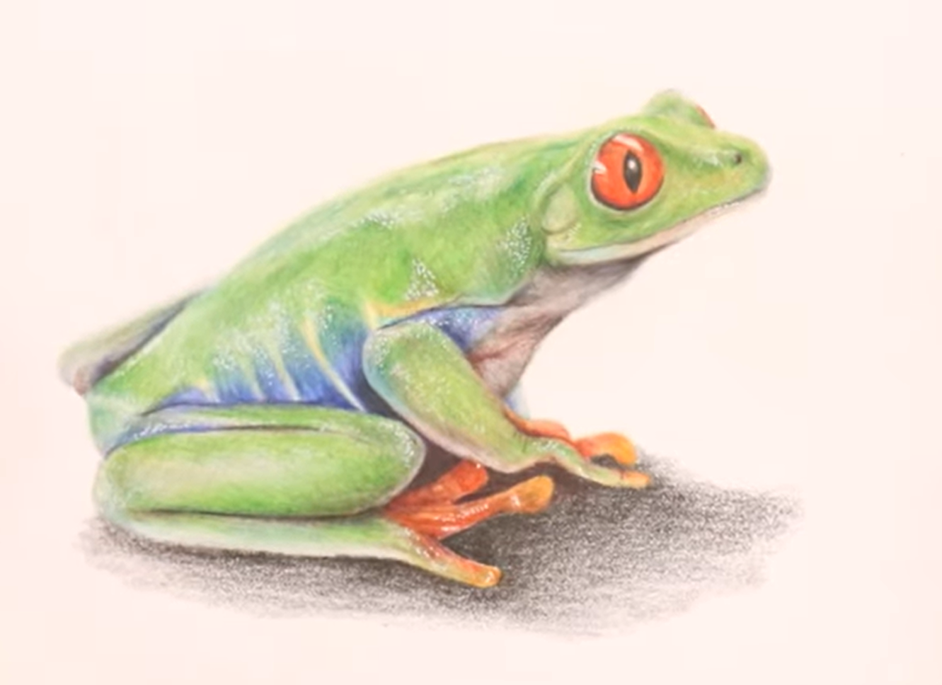 How To Draw A Frog Using Colored Pencil By AMIE HOWARD ART