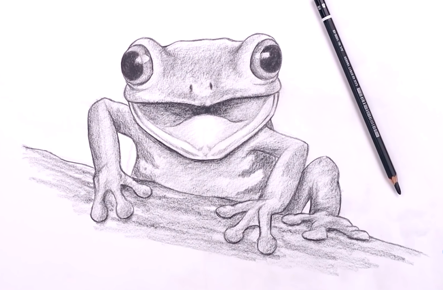 How To Draw Tree Frog By CARTOONING CLUB HOW TO DRAW