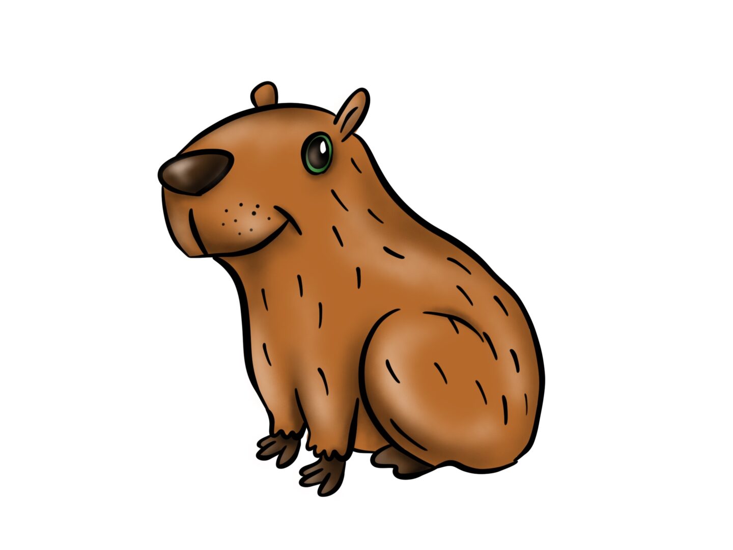How To Draw A Capybara: Step 7