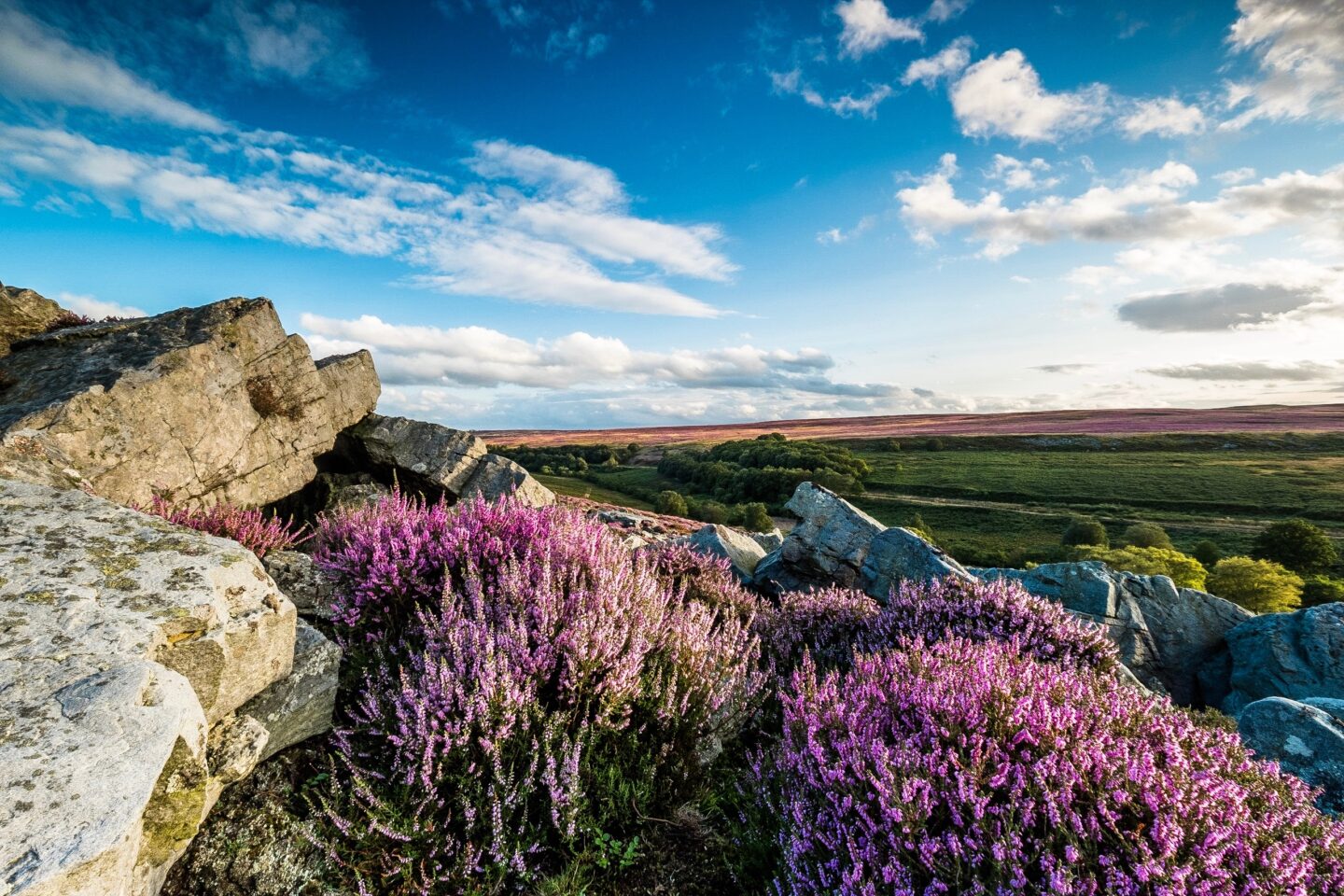 Best Things To Do In The North Yorkshire Moors