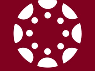 burgundy app icons