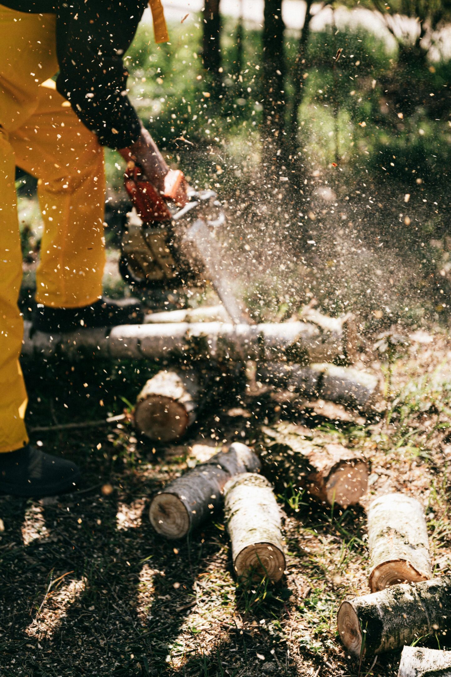 Person wearing yellow pants using an electric chainsaw to cut logs, with wood chips flying through the air in a forested outdoor setting.
