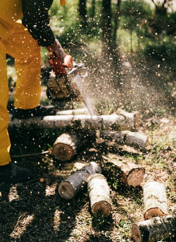 Person wearing yellow pants using an electric chainsaw to cut logs, with wood chips flying through the air in a forested outdoor setting.