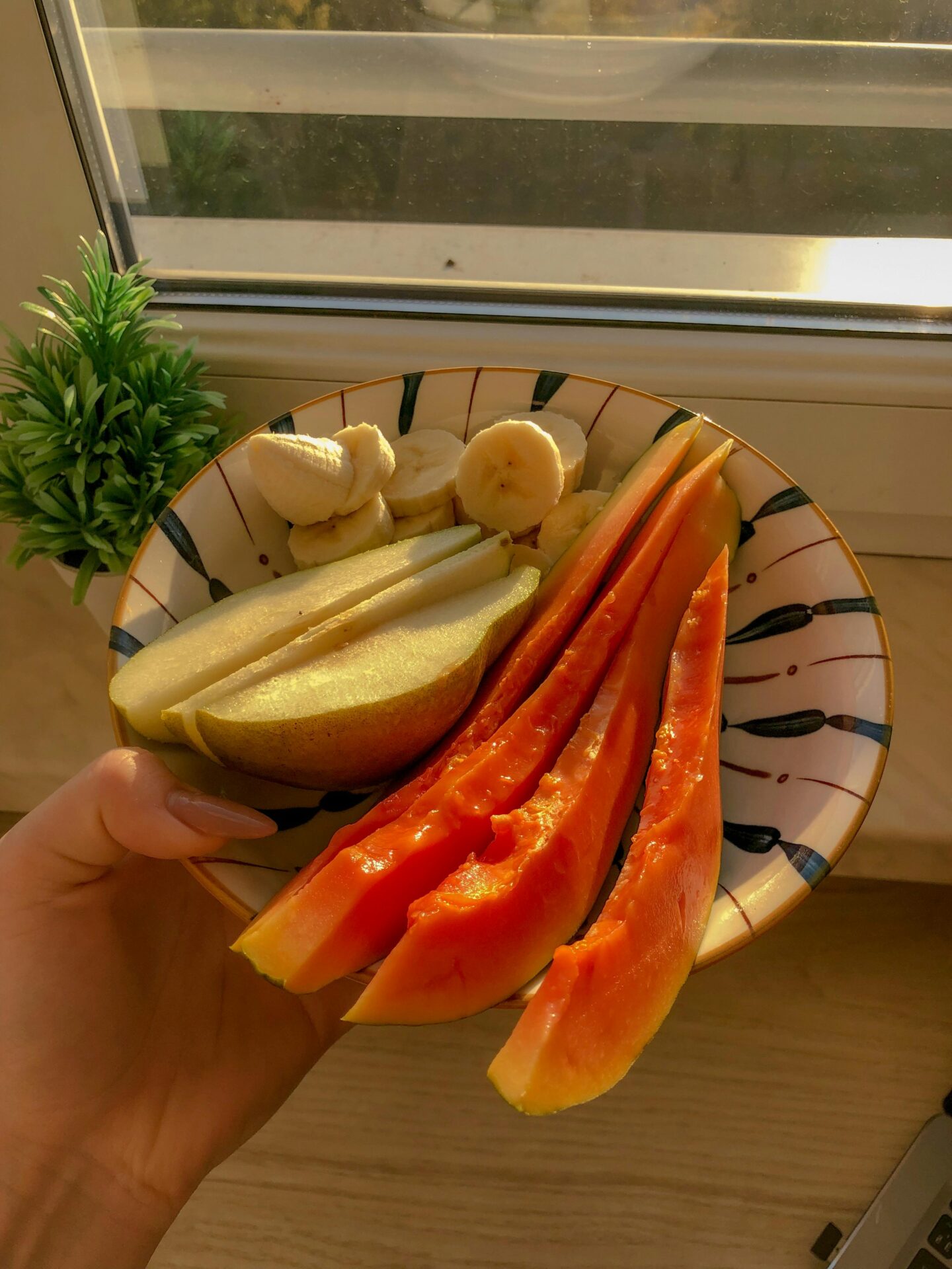 Hand holding a bowl of sliced banana, pear, and papaya near a sunny windowsill with a small green plant in the background.