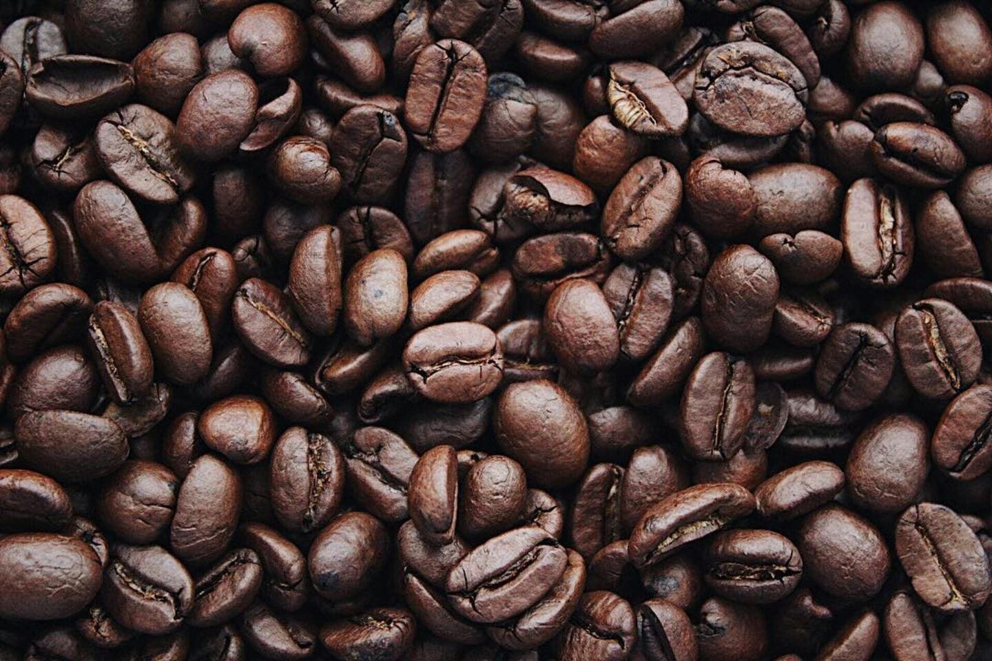 Macro shot of dark roasted coffee beans 