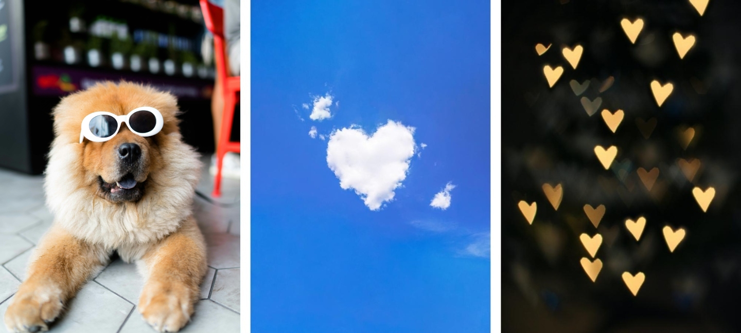 sweet cute wallpapers