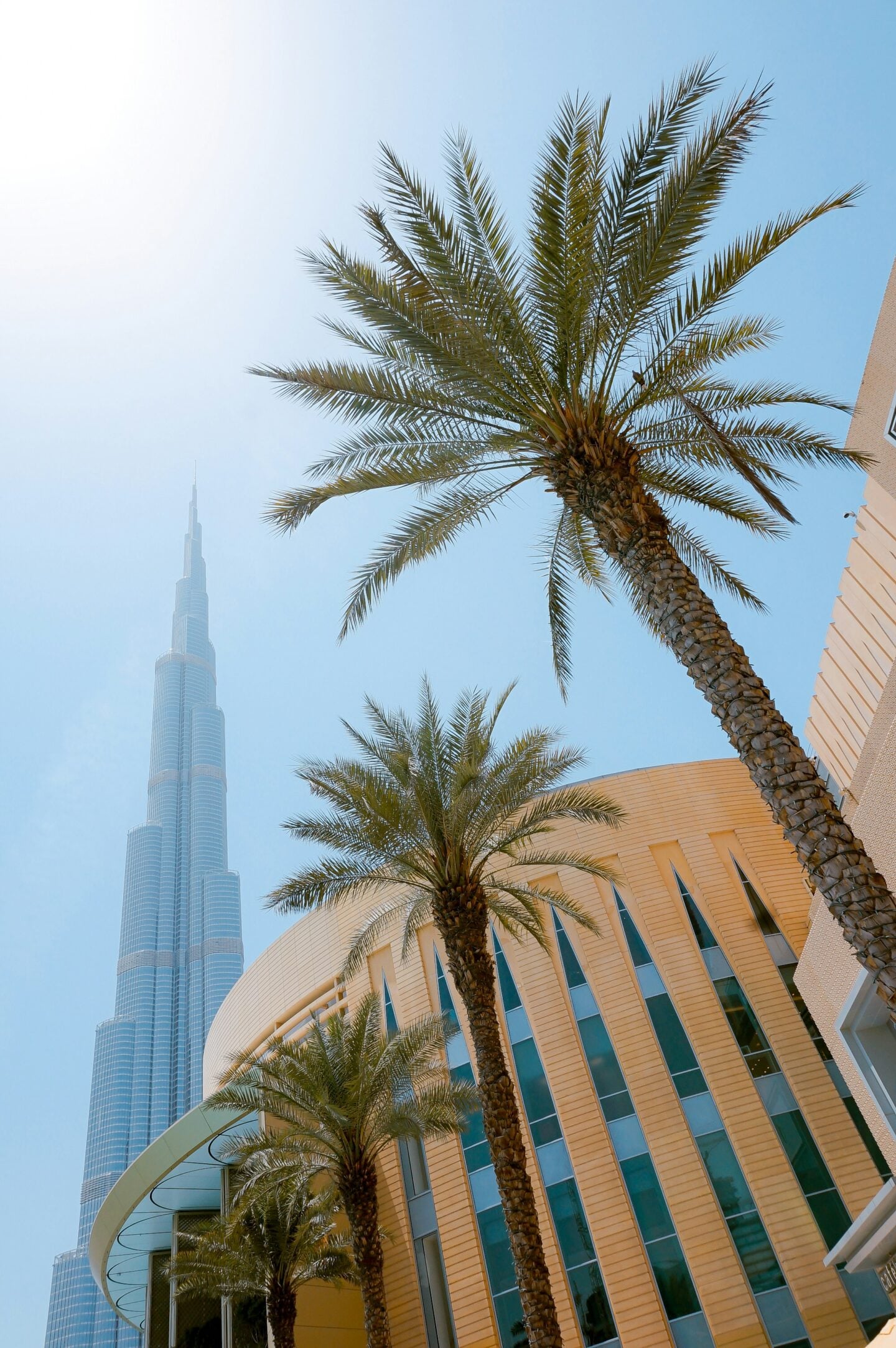 The Burj Khalifa rises into the clear sky behind palm trees and a modern building in Dubai.