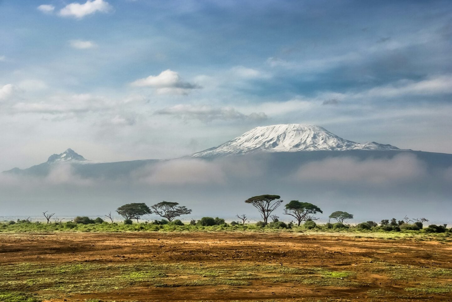 A scenic view of Mount Kilimanjaro with a snow-capped peak above the African savanna and scattered trees.