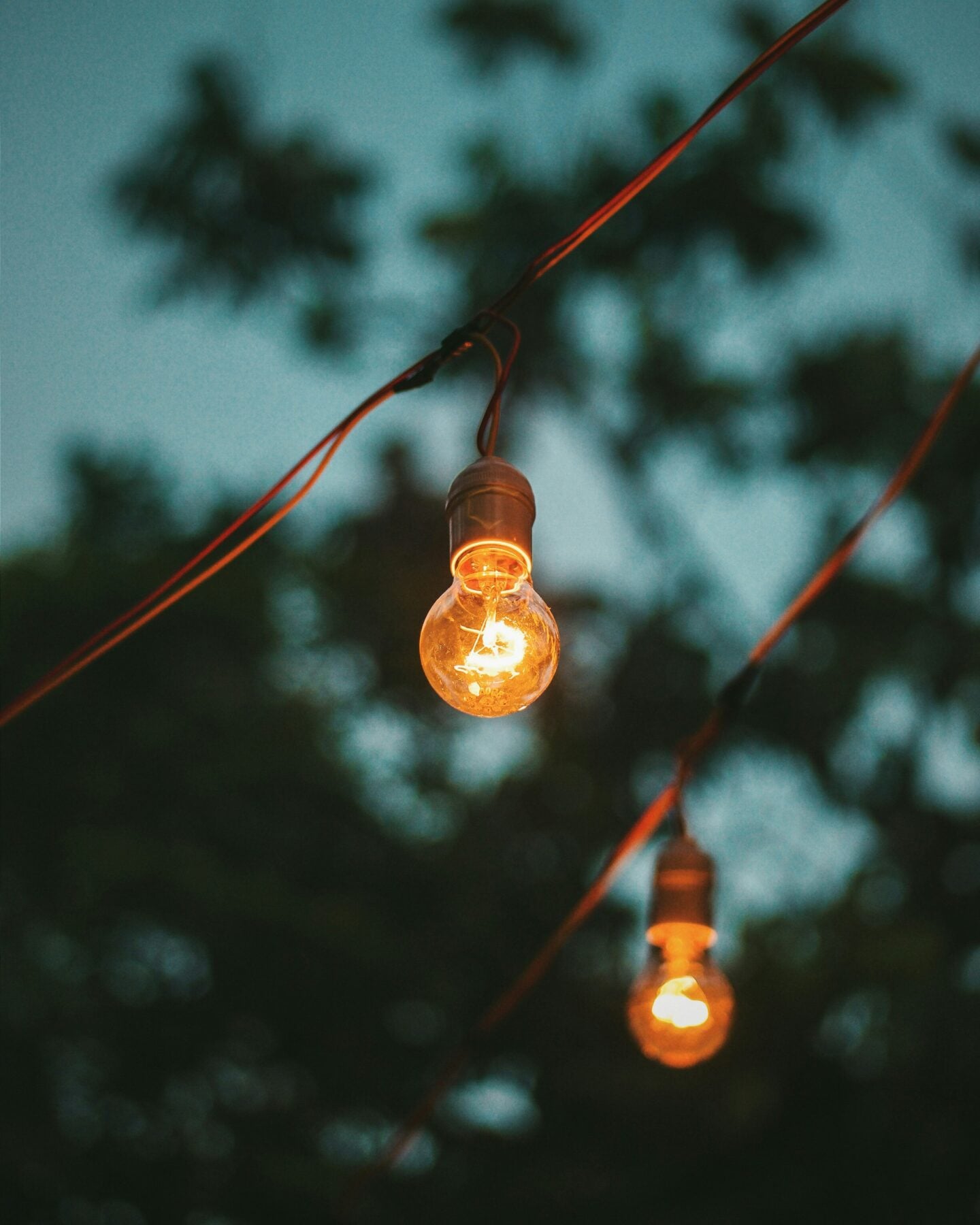 String lights glowing outdoors at dusk with blurred trees in the background.