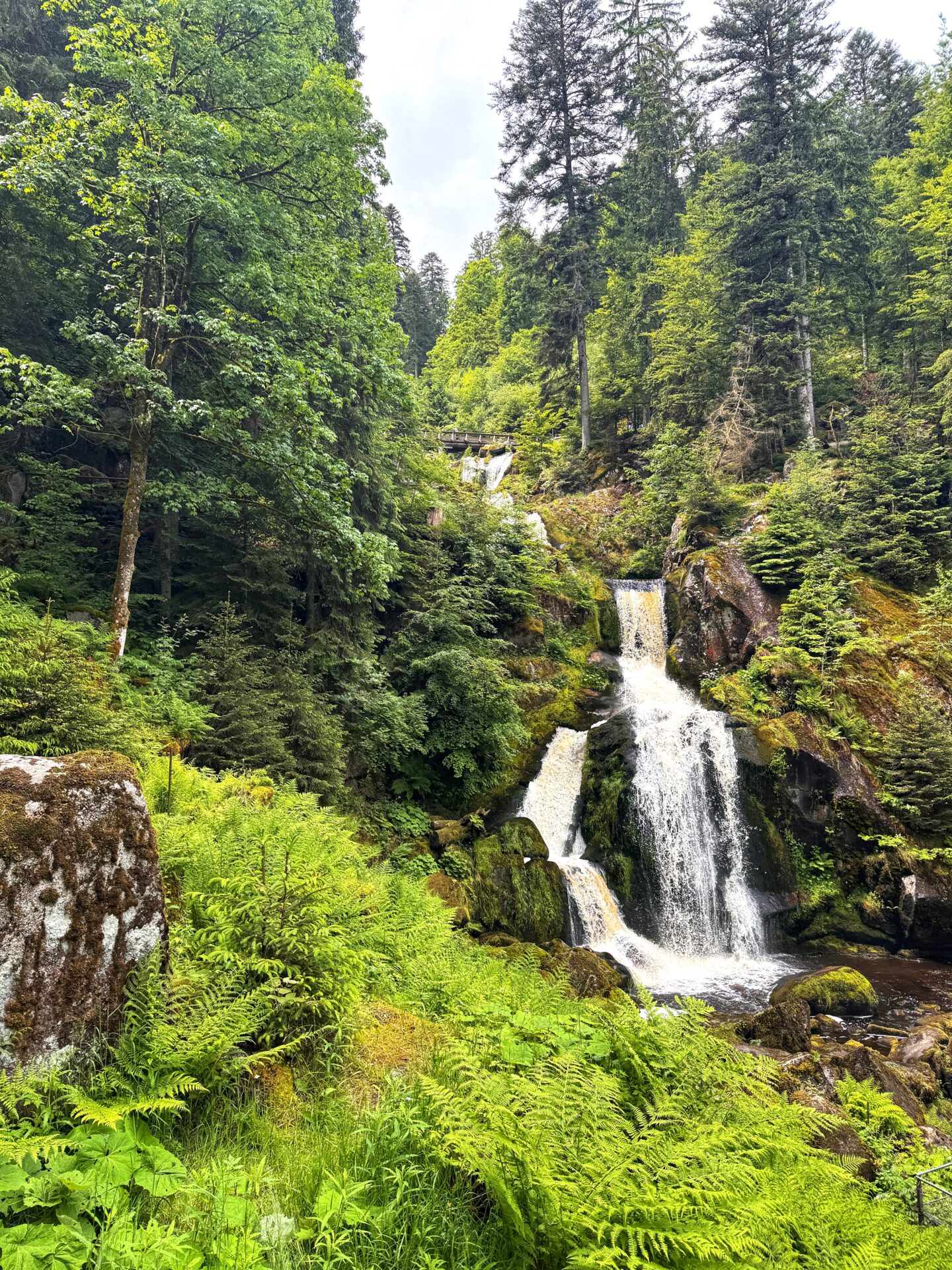 Triberg Waterfalls surrounded by lush green forest in summer in the Black Forest (Shwarzwald), Germany. 