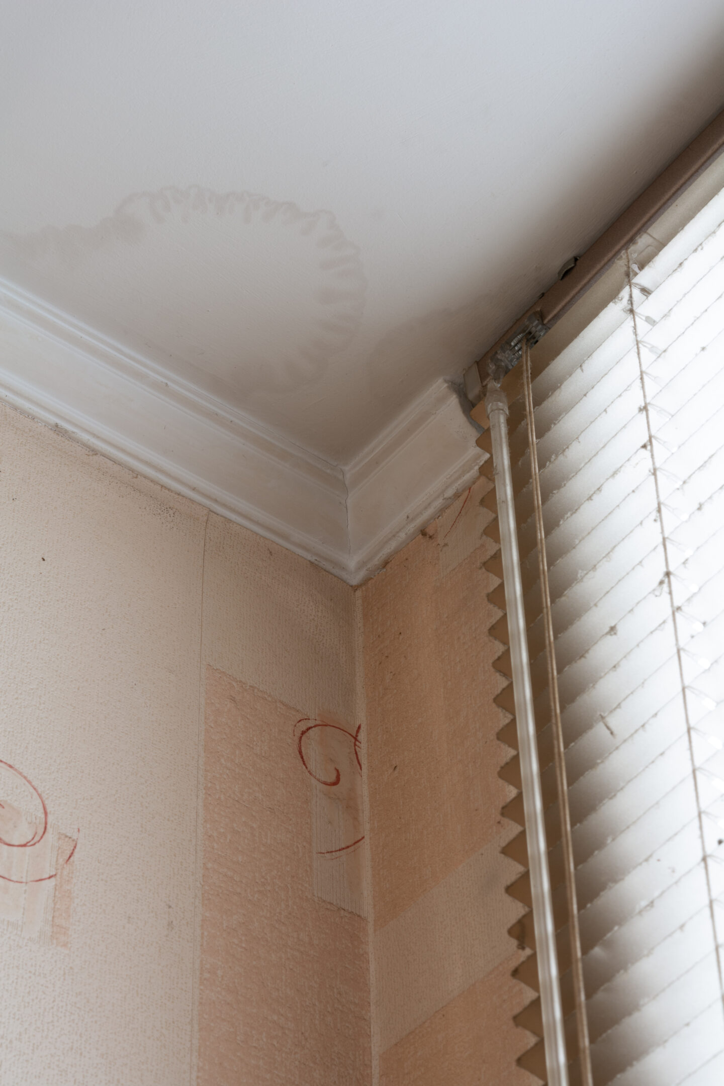 Corner of a room with a visible water stain on the white ceiling near the crown molding, above beige wallpaper with red swirls and a window with white blinds.
