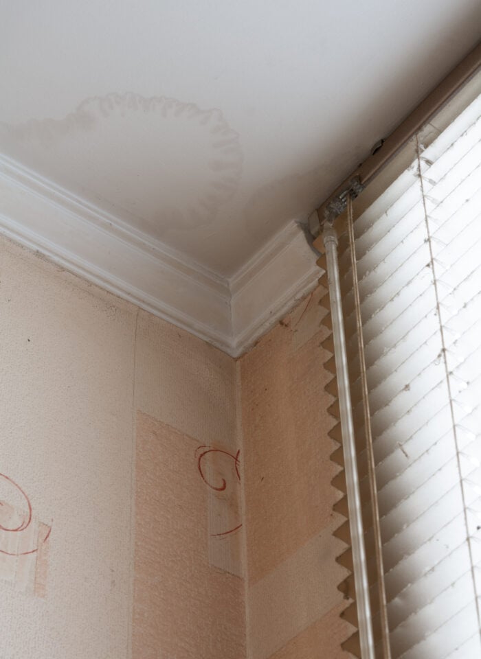 Corner of a room with a visible water stain on the white ceiling near the crown molding, above beige wallpaper with red swirls and a window with white blinds.