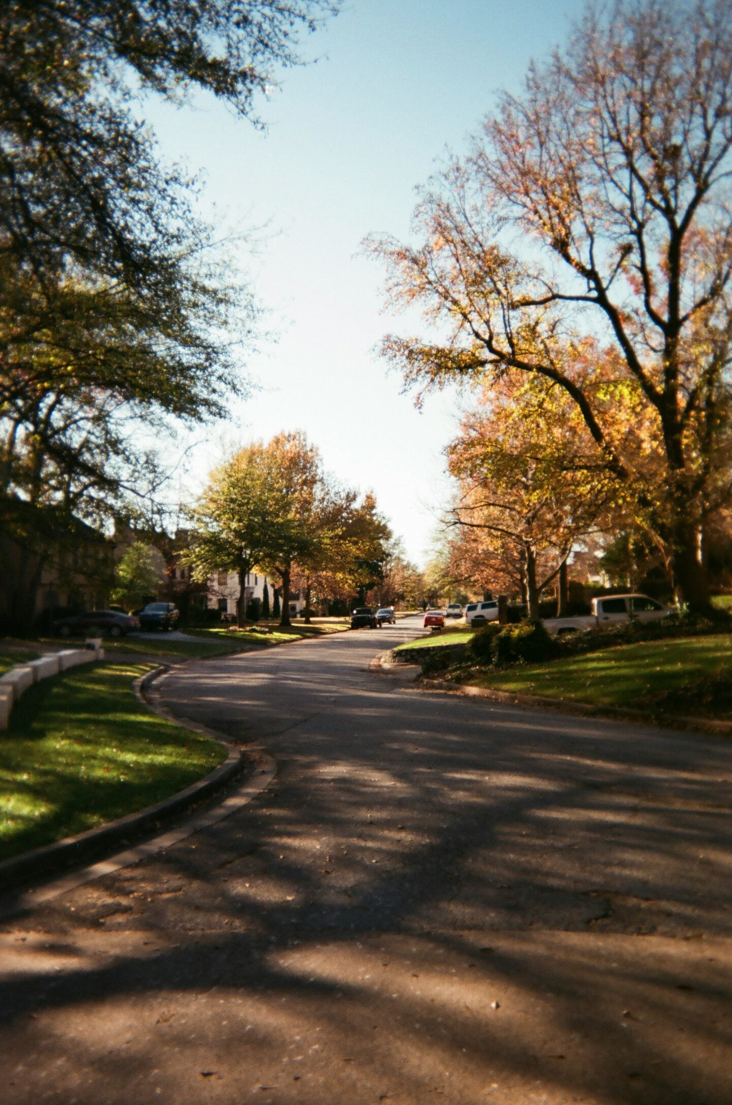 A quiet suburban street lined with trees showing autumn colors, with houses and parked cars along the curved road.